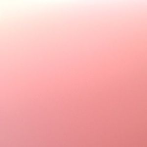 Meet your Posher, Gracie